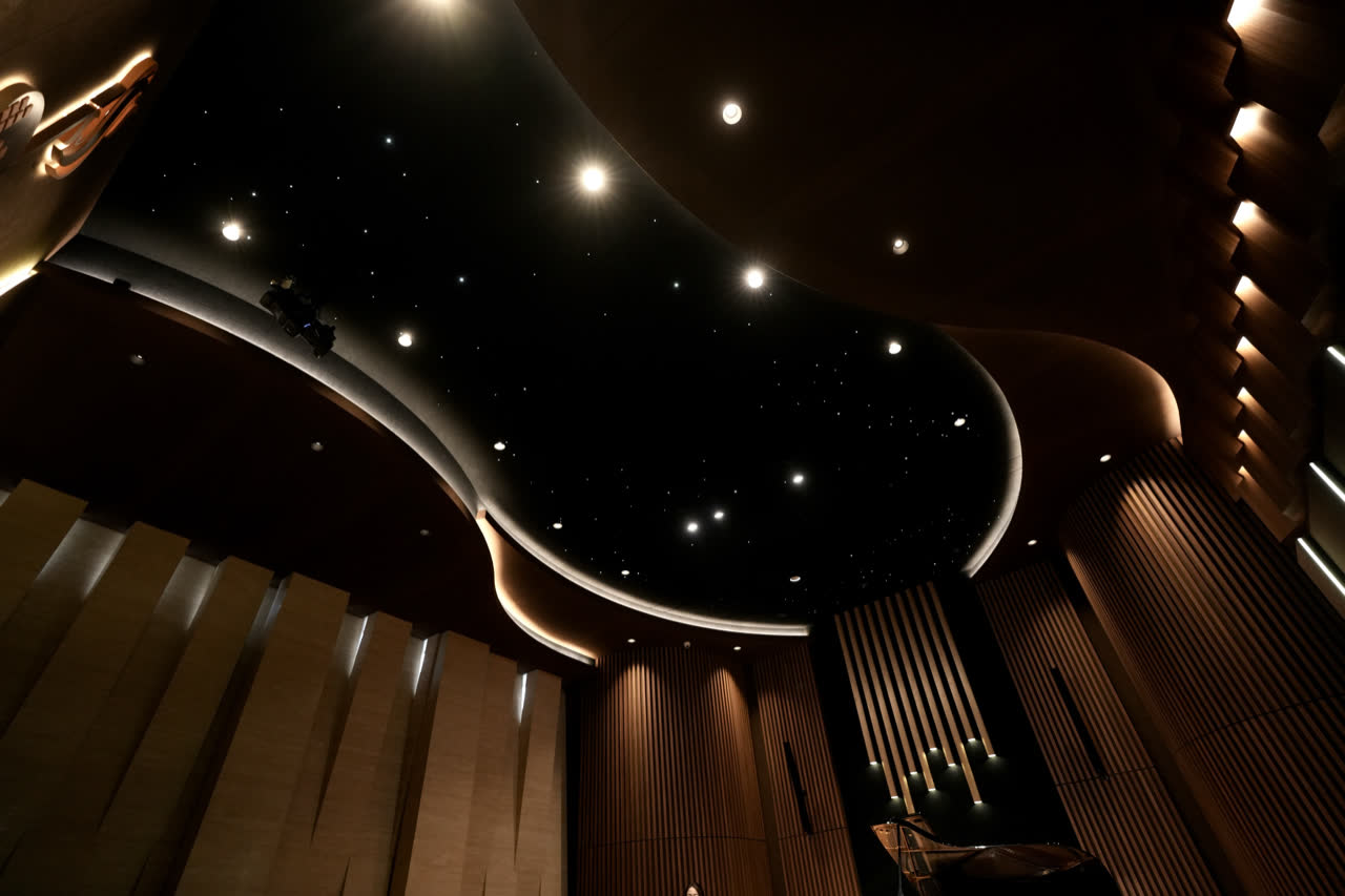 The hall's ceiling: a curved dark canopy set with points of light, above slatted timber walls and stone fins.